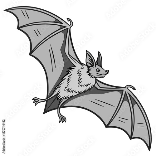Gray bat flying with wings spread mammal