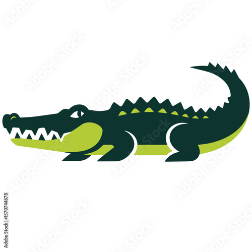 vector illustration of a crocodile