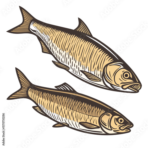 Two fish with golden scales and dark outlines seafood