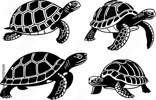 Four black silhouette sea turtles swimming in different poses on white background