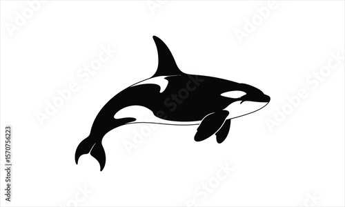 Majestic orca whale ocean dweller silhouette