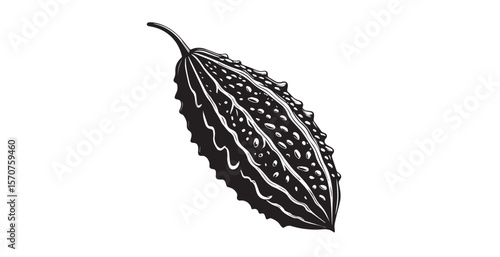 Detailed black and white illustration of a bitter melon silhouette