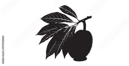 Dark breadfruit and leaves on a branch silhouette