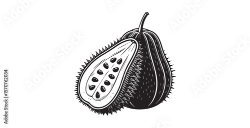 Spiky gourd fruit cut in half showing seeds silhouette