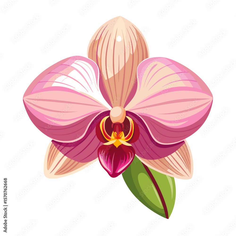 Naklejka premium orchid isolated on white background