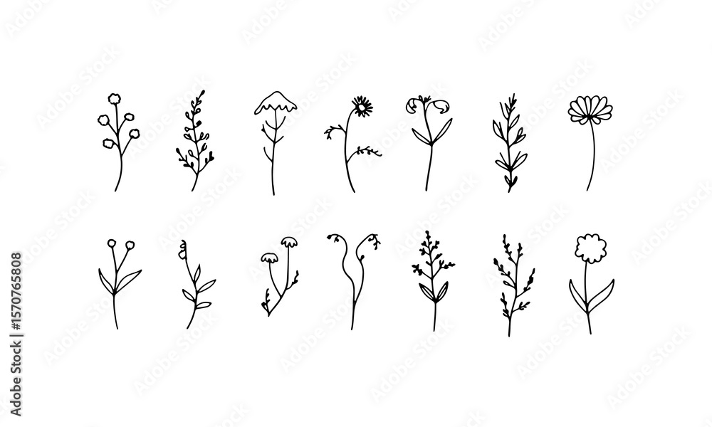 Obraz premium Delicate Petal Designs. Graceful flower sketches with delicate petal work and thin organic stems, perfect for fine line designs.