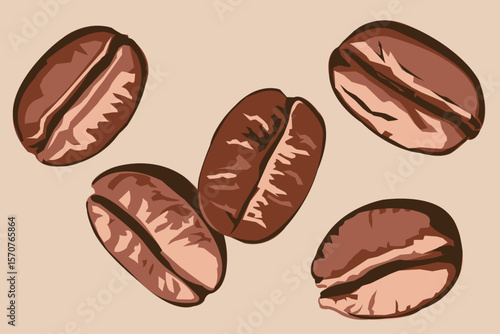 Coffee beans vector illustration