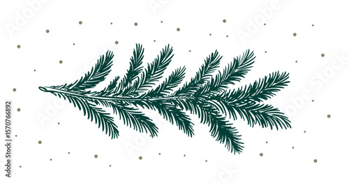 Christmas tree branch hand drawn