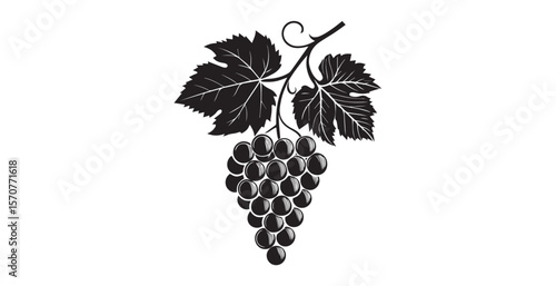 Black silhouette of a ripe bunch of grapes with leaves on a white background