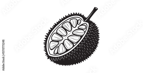 Stylized black and white cutaway of a spiky durian fruit silhouette
