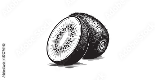 Detailed illustration of a whole kiwi fruit and a sliced kiwi fruit silhouette