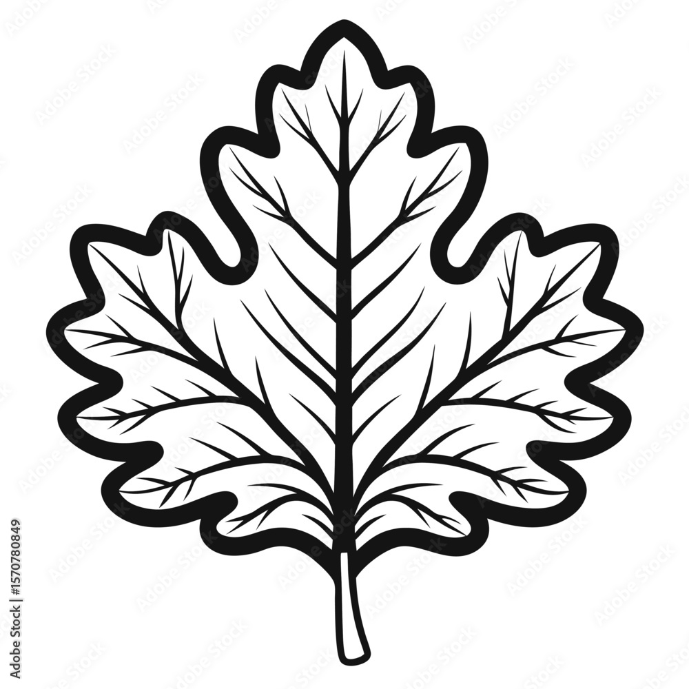 Obraz premium Oak Leaf Outline Drawing Icon