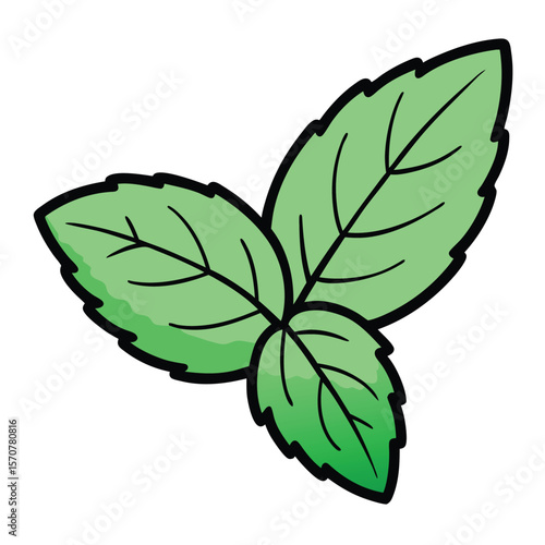 Fresh Mint Leaves Drawing Icon