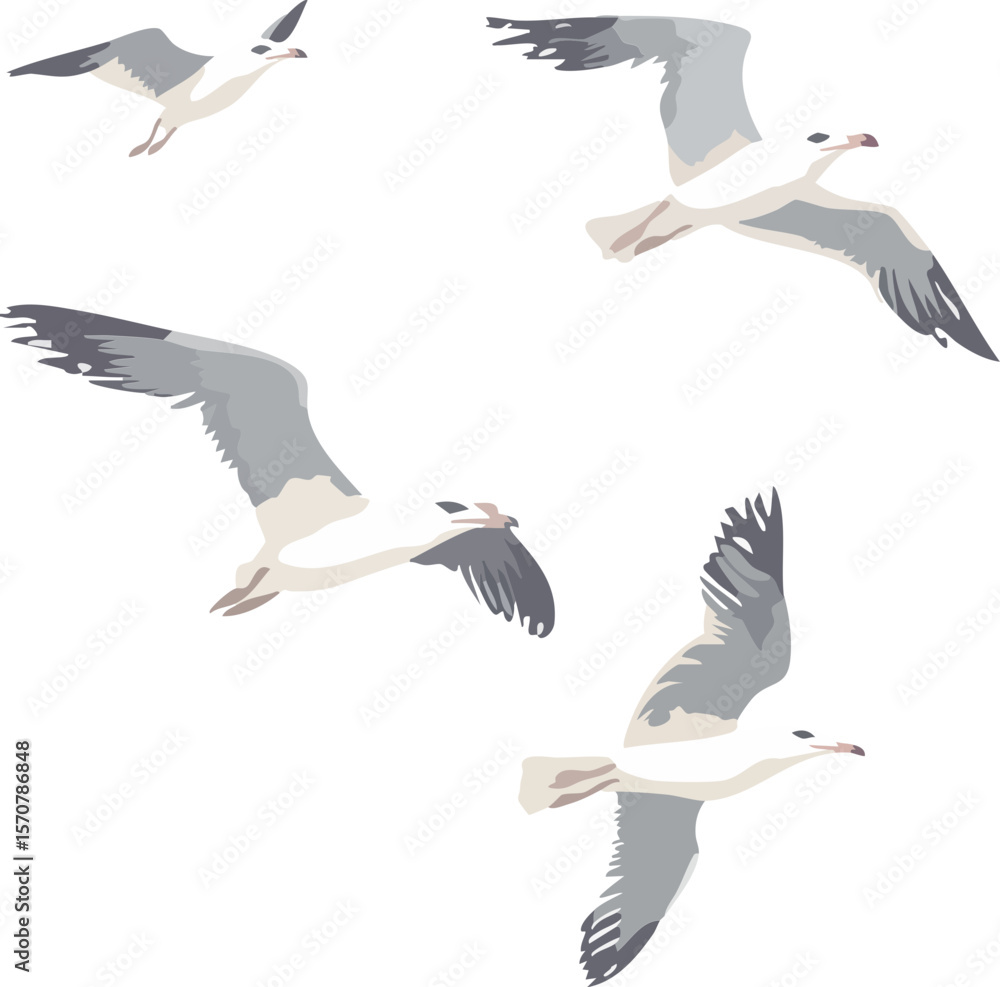 Obraz premium seagulls in flight