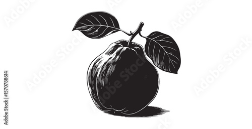 Detailed black and white illustration of a pear with two leaves silhouette