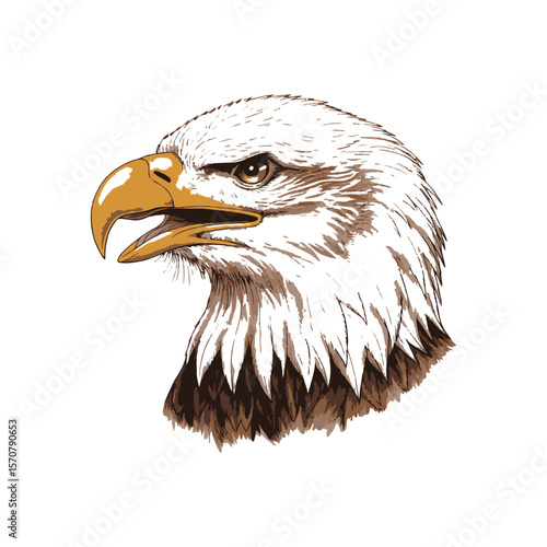 Eagle head