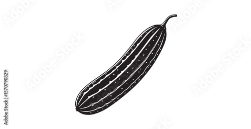 Detailed black and white illustration of a long cucumber with textured stripes silhouette