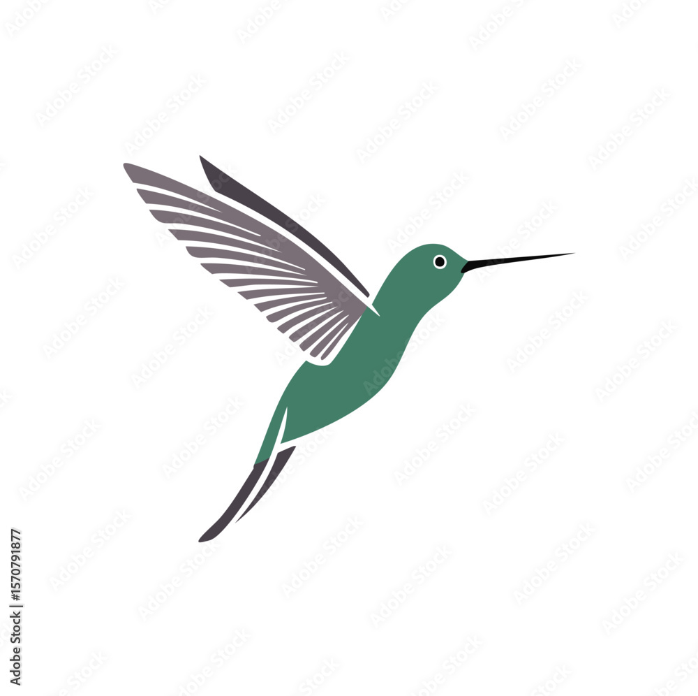 Obraz premium Green hummingbird with grey wings in flight vector