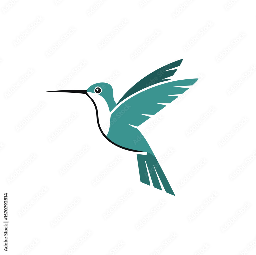 Fototapeta premium Teal hummingbird in flight with outstretched wings flying
