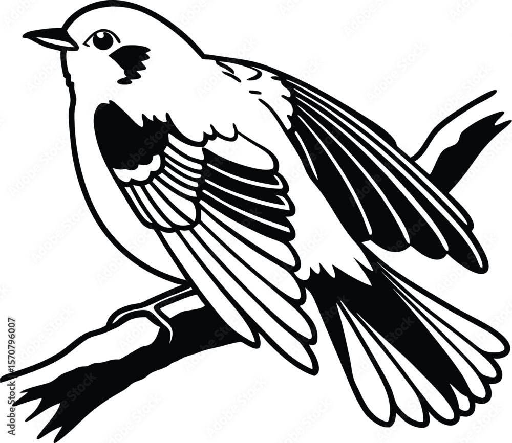 Obraz premium Realistic Robin Outline Vector Illustration 