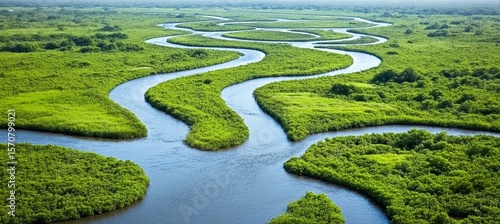 Wallpaper Mural Aerial view of vibrant tropical landscape with diverse ecosystems and complex streams under sunlight Torontodigital.ca