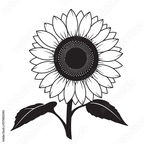 Detailed black and white sunflower illustration with stem and leaves isolated on white background