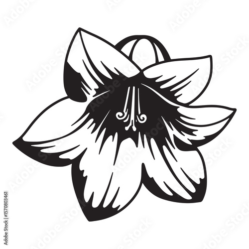 Elegant black and white bellflower illustration perfect for floral designs and decorative purposes