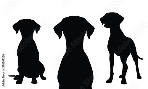 Elegant silhouette graphic featuring graceful dogs in sitting and standing poses, perfect for pet-related designs and creative projects.