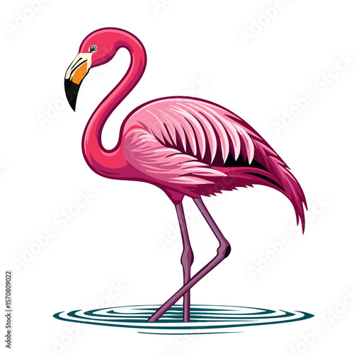 Elegant flamingo illustration standing in water pink feathers tropical bird design vector art exotic nature wildlife illustration