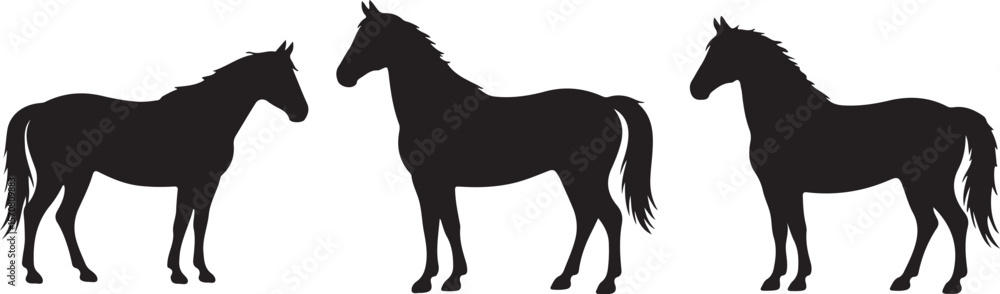 Obraz premium Horse Silhouette Vector Bundle Running & Standing Horse SVG Set Wild Horse Shadow Clipart Pack