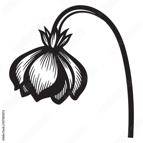 Elegant black and white illustration of a drooping flower on a curved stem