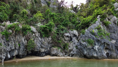 Steep limestone cliff covered with patches of green vegetation and rugged rock formations of Ha Long Bay, Vietnam.	
