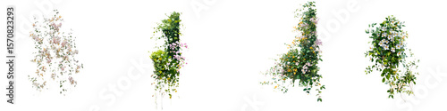 Watercolor Floral Vine Set: Climbing Plant Decoration