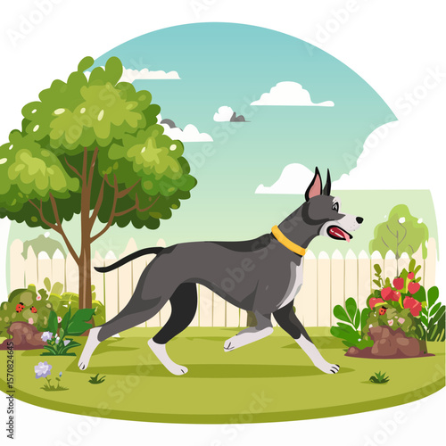 A Great Dane Running in a Yard