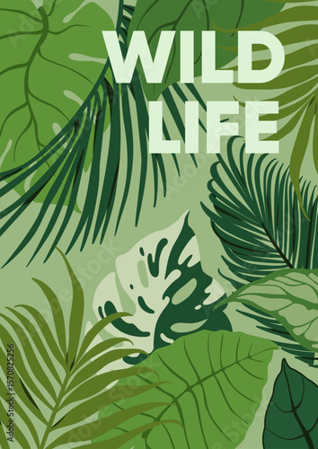 Tropical leaves, poster design. Exotic jungle leaf, green card with rainfores...