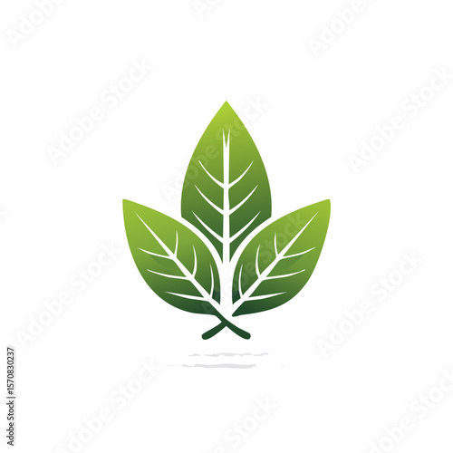 Three green leaves on black background represent nature, growth, and sustainability with environmental focus.