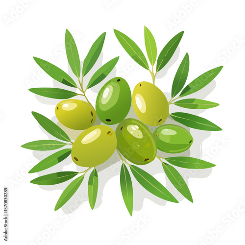 Illustration of a branch with fresh olives and leaves on a black background
