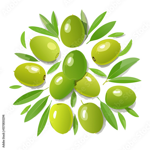 Bunch of Fresh Green Olives with Leaves Illustration
