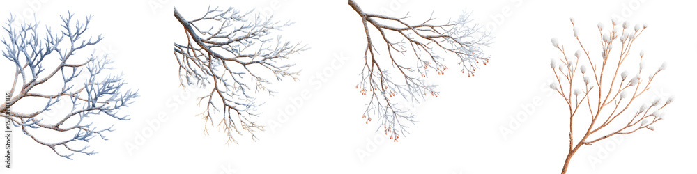 Obraz premium Bare Tree Branches on White Background, Winter