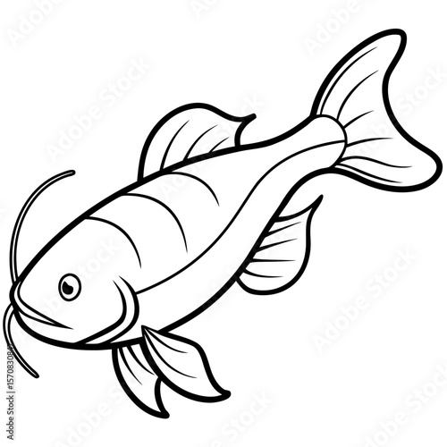 Catfish line art vector