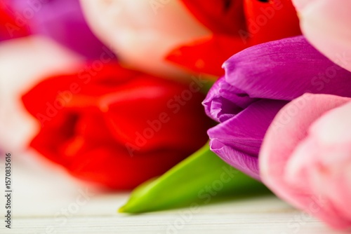 Fototapeta Naklejka Na Ścianę i Meble -  Purple, red and pink tulip blooms are resting on white wooden surface, highlighting textured petals