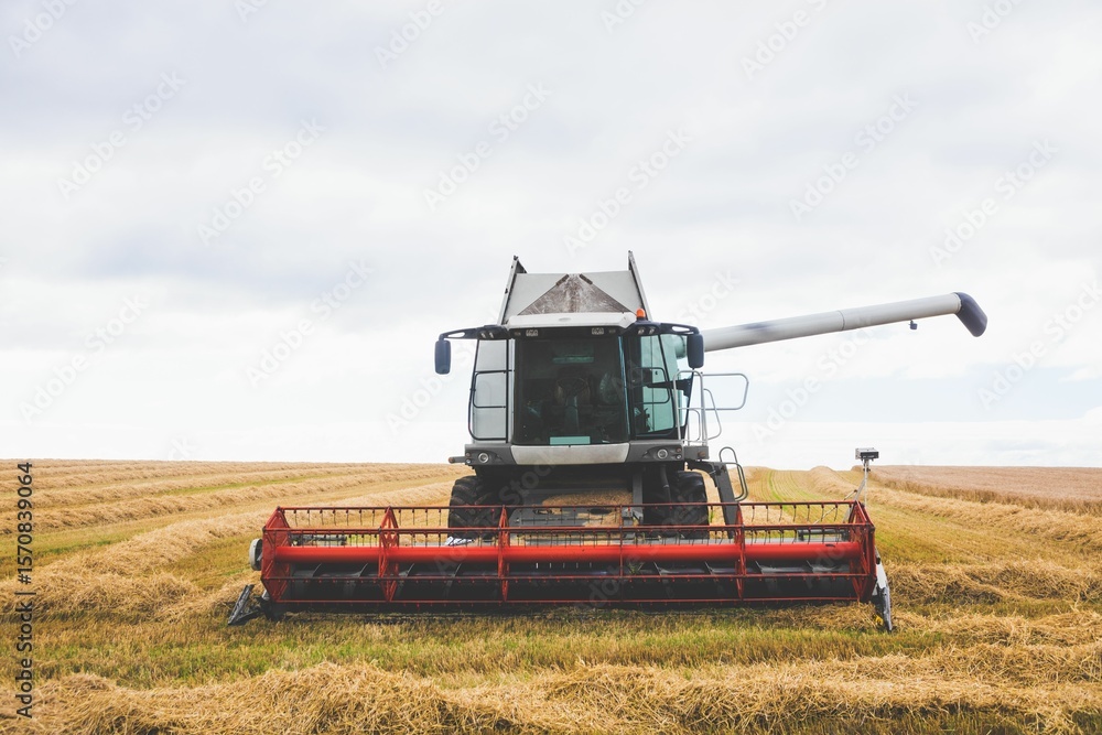 Fototapeta premium View of a harvester on a field