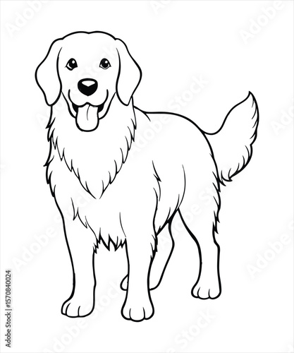 Cute Golden Retrievers