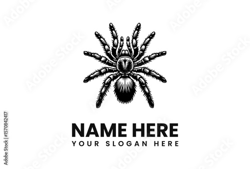 A detailed black and white illustration of a tarantula spider with text below.