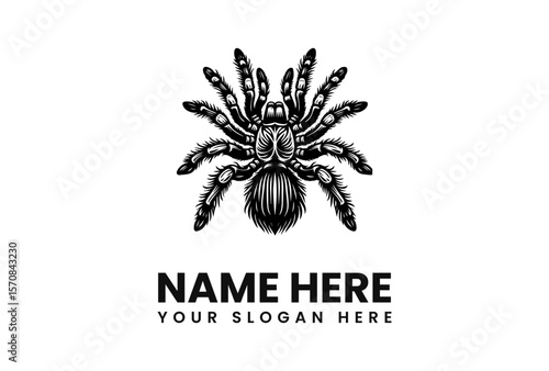 Detailed black and white illustration of a tarantula spider with text below.