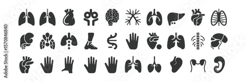Isolated Human Organs Silhouette Collection, Medical Icons on Transparent Background