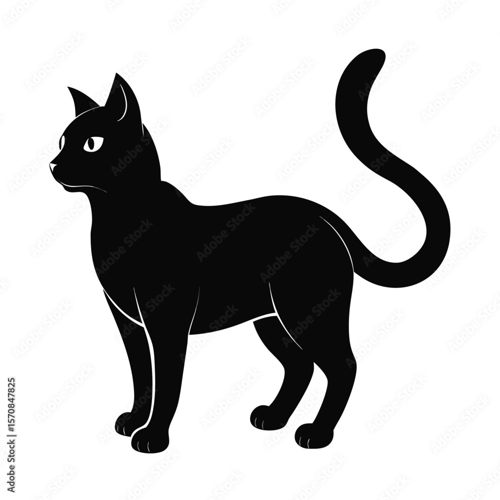 Obraz premium black cat isolated on white