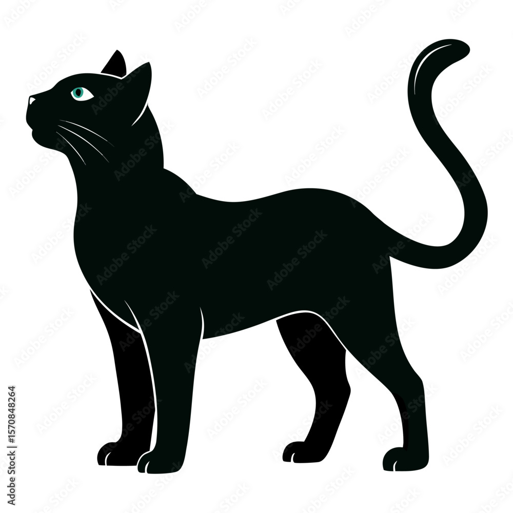Fototapeta premium black cat silhouette