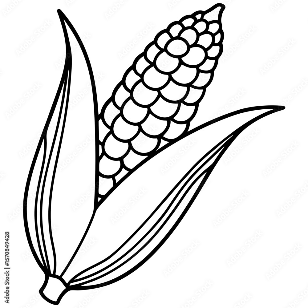 Obraz premium Corn line art vector