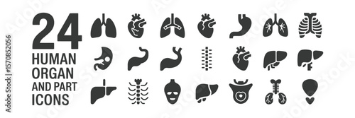 Twentyfour human internal organs and body parts icon collection on transparent background